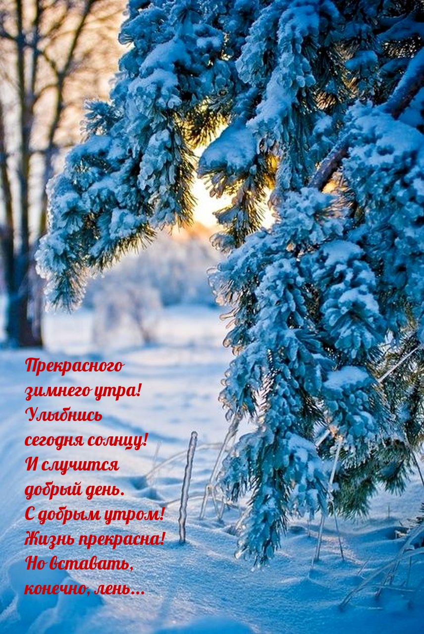 Прекрасного зимнего утра!