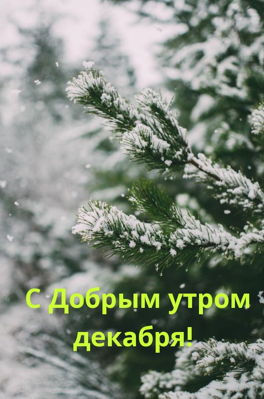 С Добрым утром декабря!