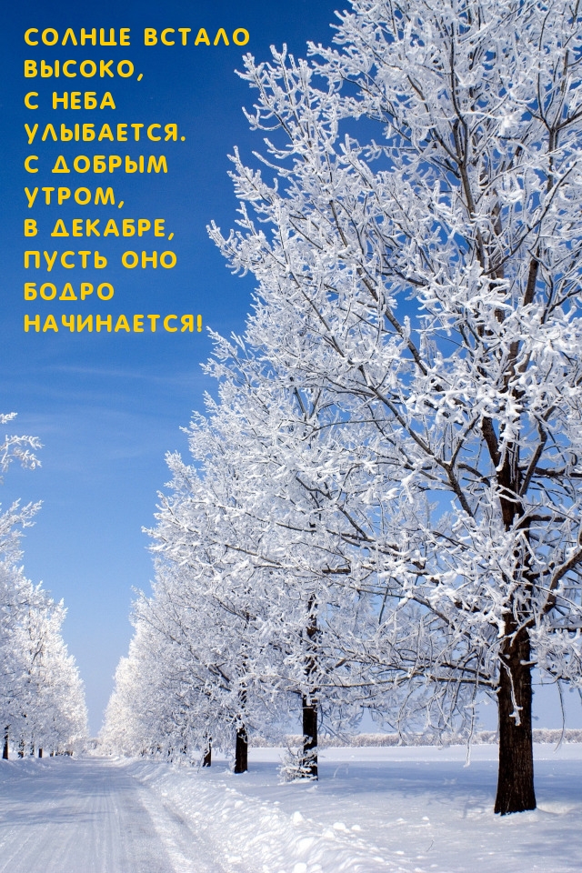 Солнце встало высоко, С неба улыбается