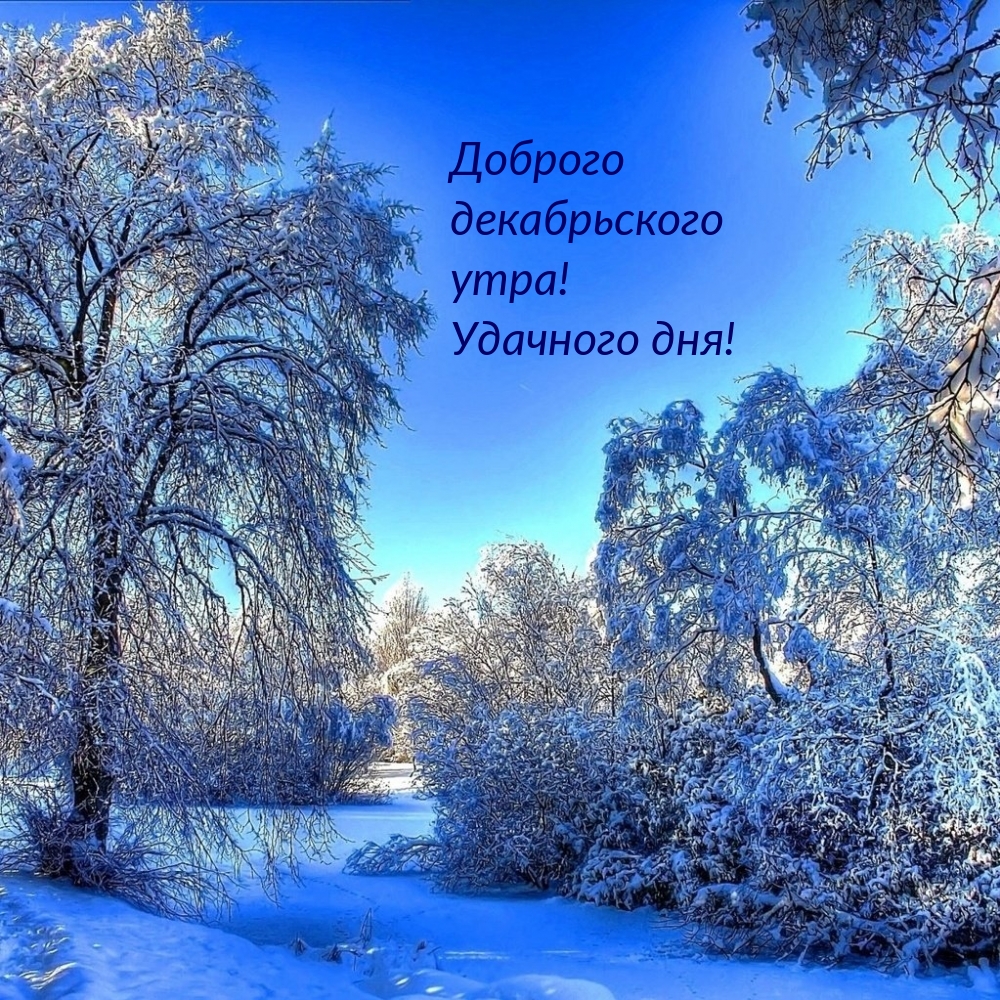 Доброго декабрьского утра! Удачного дня!