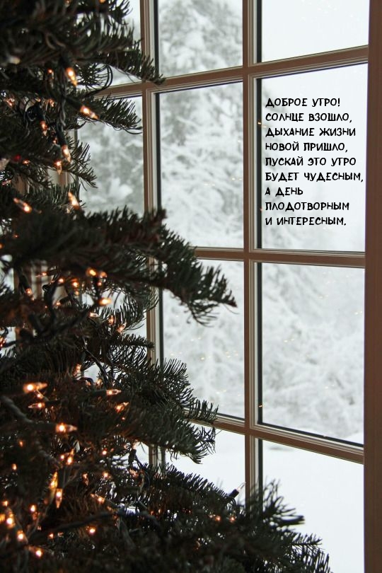 ДОБРОЕ УТРО! Солнце взошло