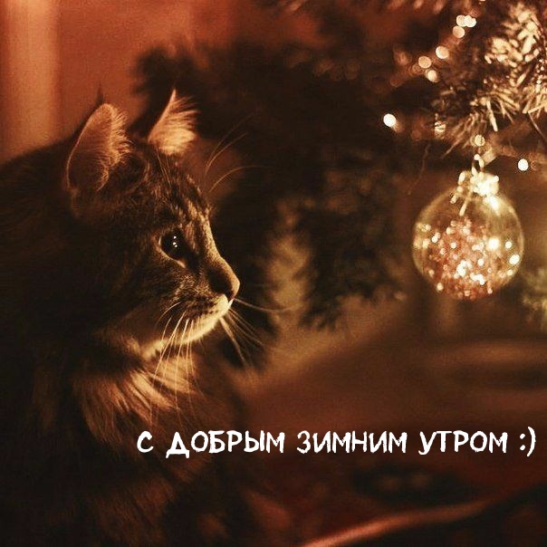 С добрым зимним утром :)