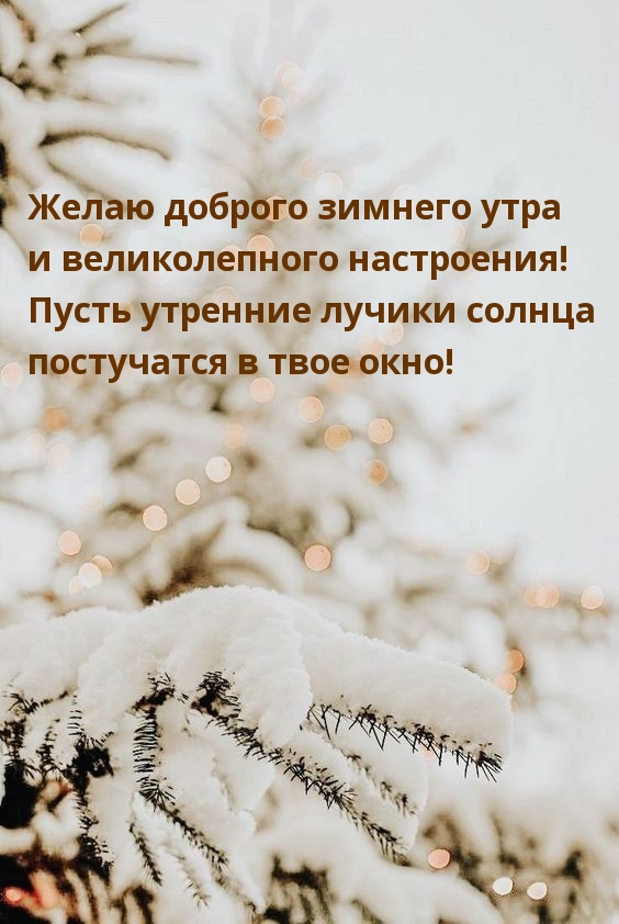 Желаю доброго зимнего утра и великолепного настроения!
