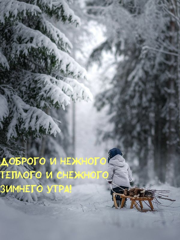 Доброго и нежного Теплого и снежного Зимнего утра!