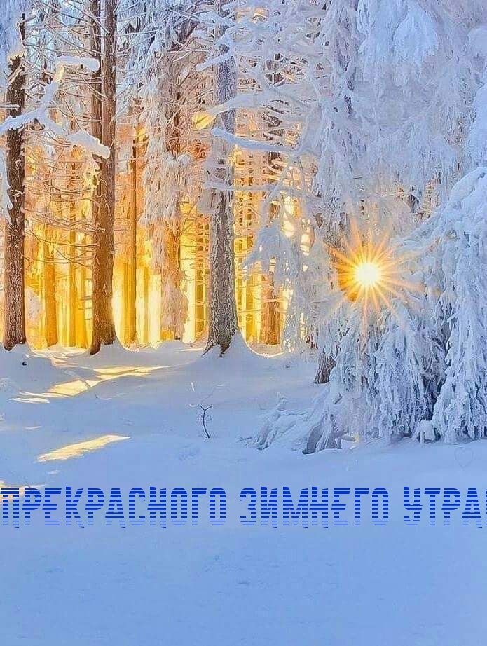 Прекрасного зимнего утра!