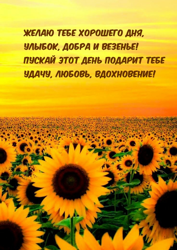 Желаю тебе хорошего дня! Улыбок и везения!
