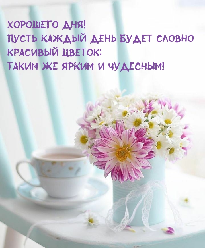 Хорошего дня! Яркого и чудесного!