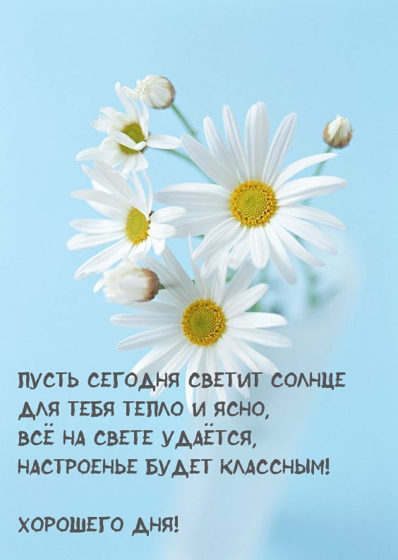 Пусть сегодня светит солнце!