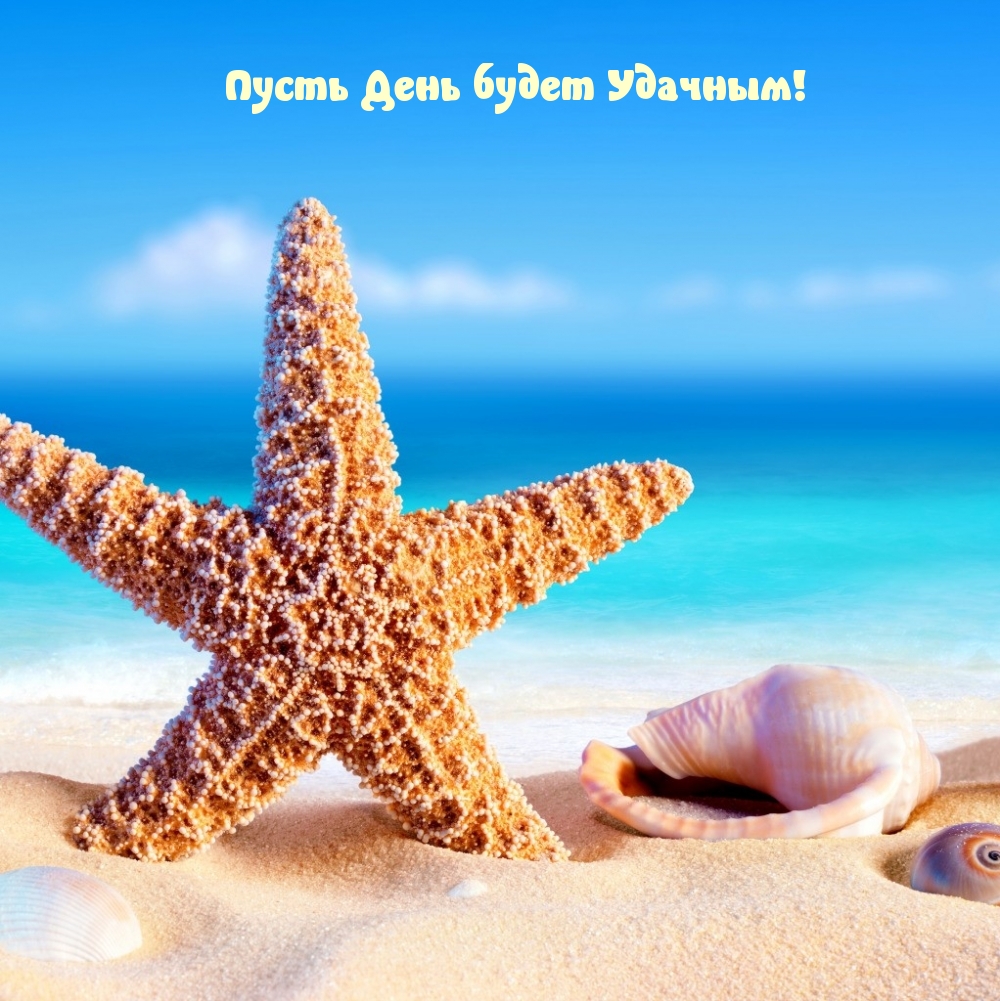 Пусть День будет Удачным!