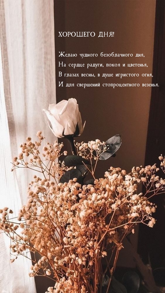 Желаю чудного безоблачного дня