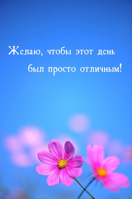 Желаю, чтобы этот день был просто отличным!