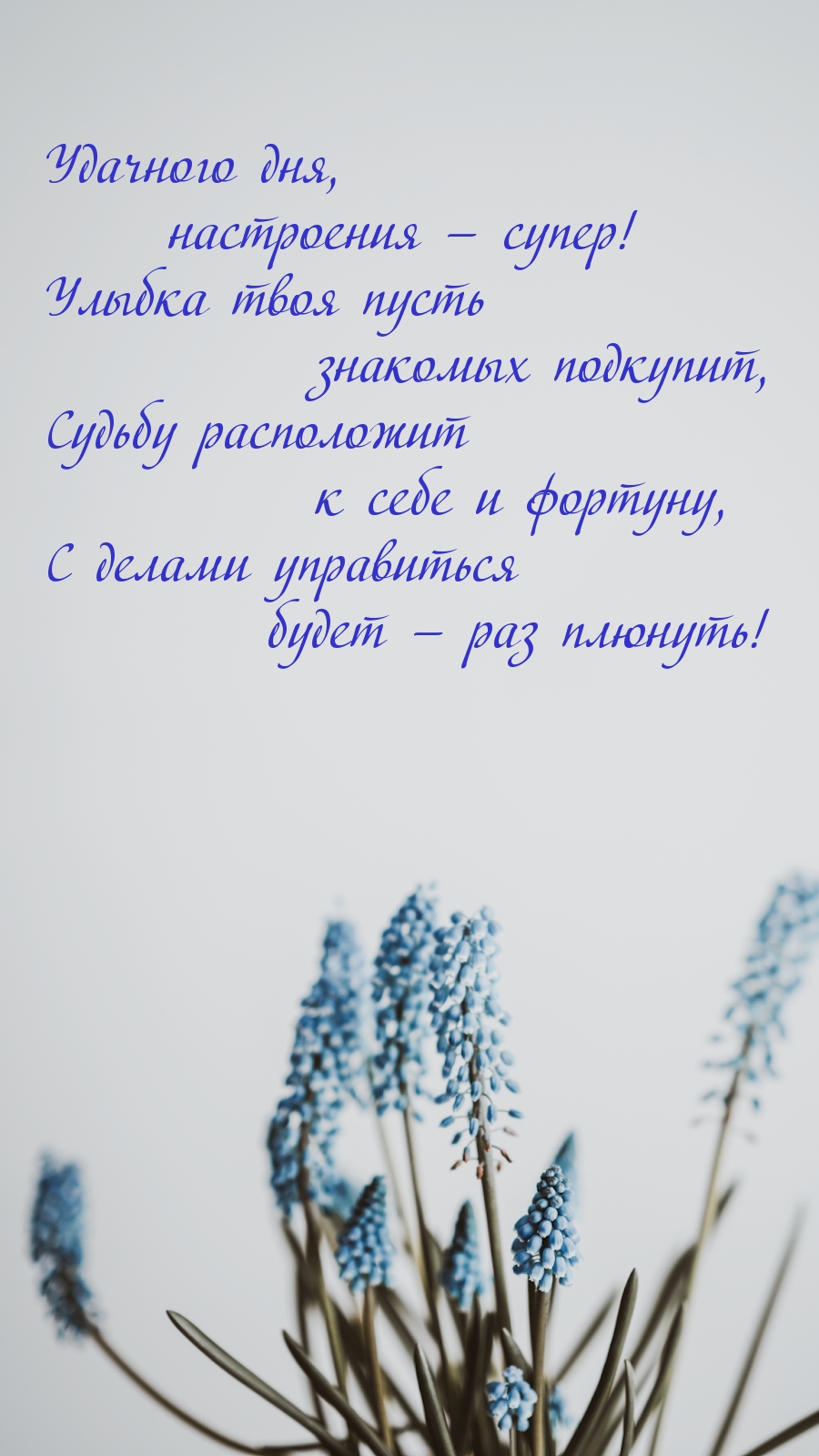 Удачного дня, настроения — супер!