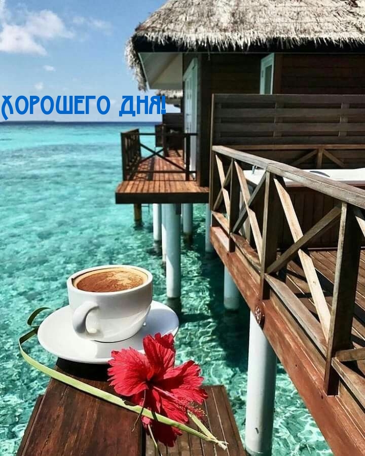 Хорошего дня!