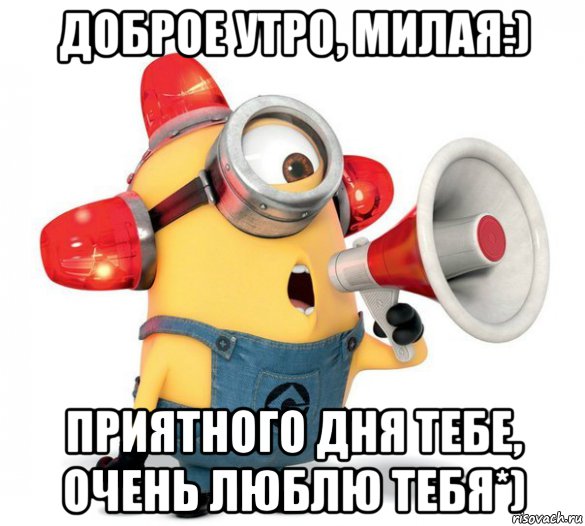 Доброе утро, милая! Люблю тебя!