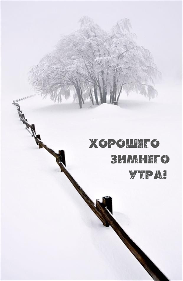 Хорошего зимнего утра!