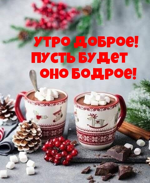 Утро доброе! Пусть будет оно бодрое!