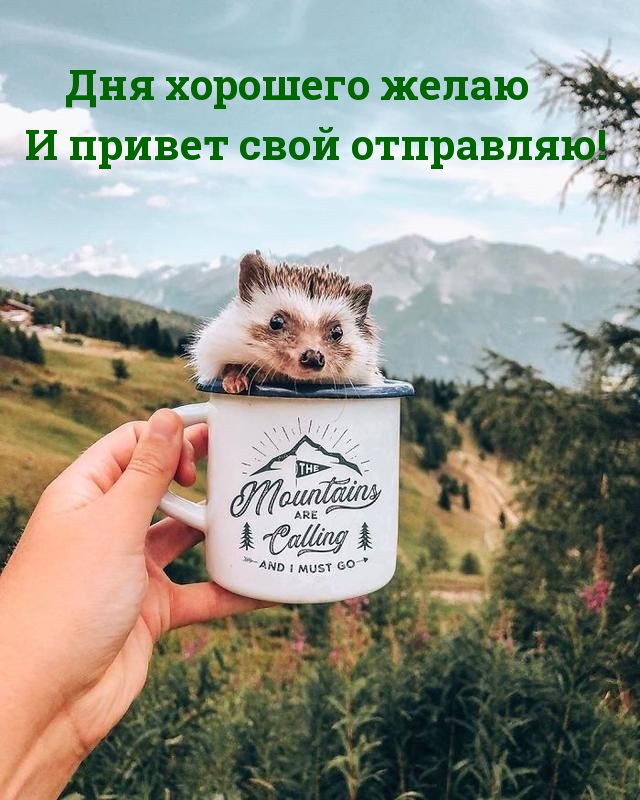 Дня хорошего желаю И привет свой отправляю!