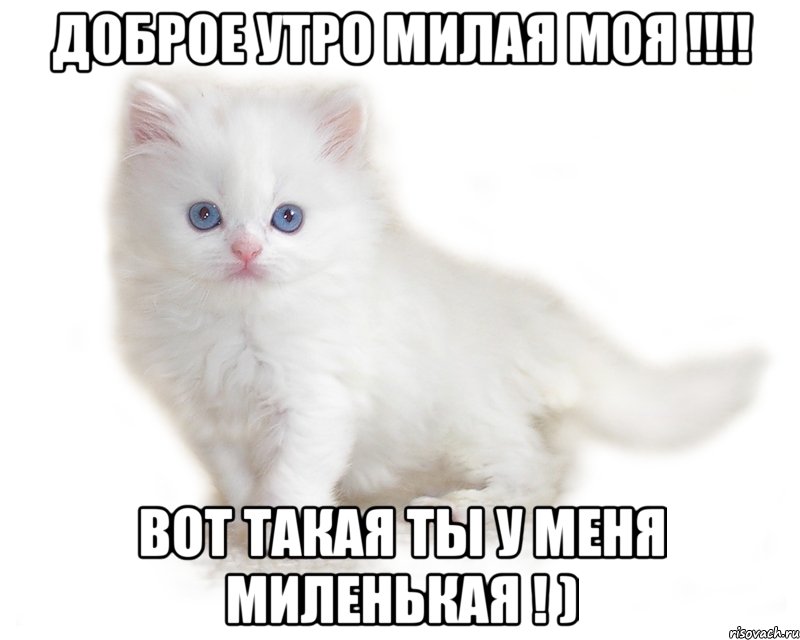 Доброе утро, милая моя!
