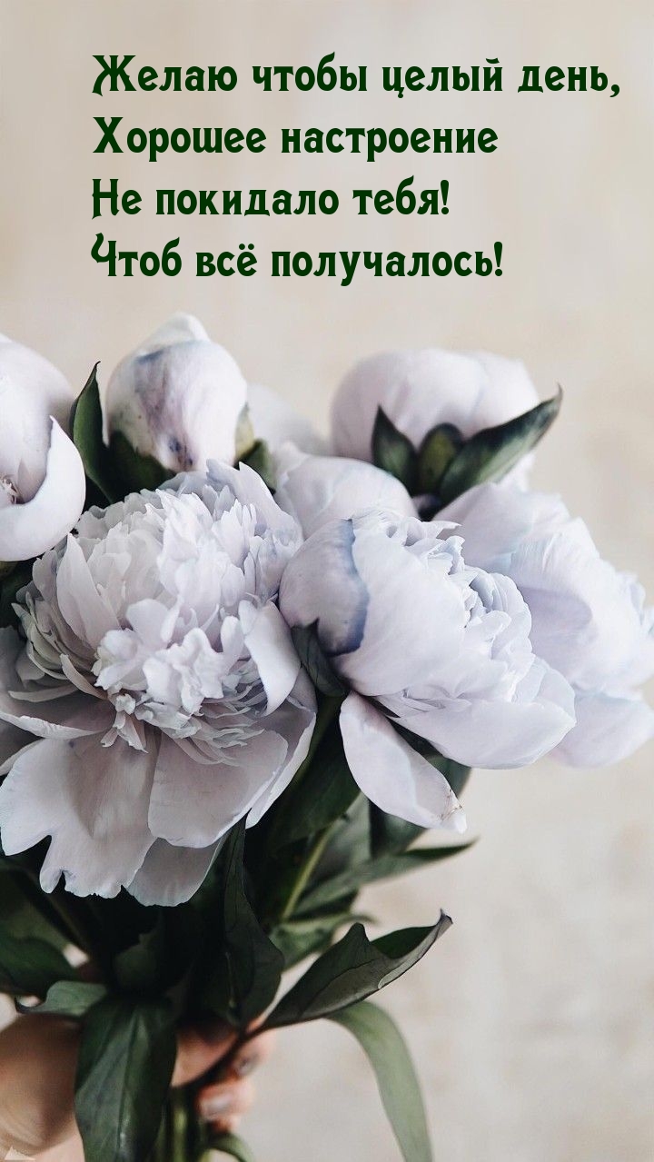 Пусть хорошее настроение не покидает тебя!