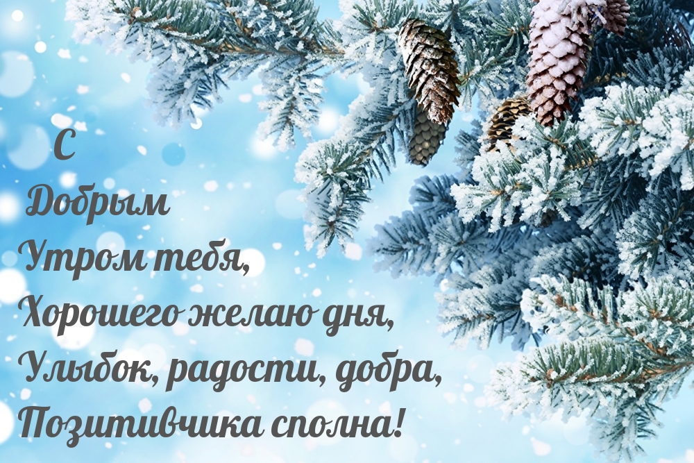 С Добрым Утром тебя, Хорошего желаю дня!