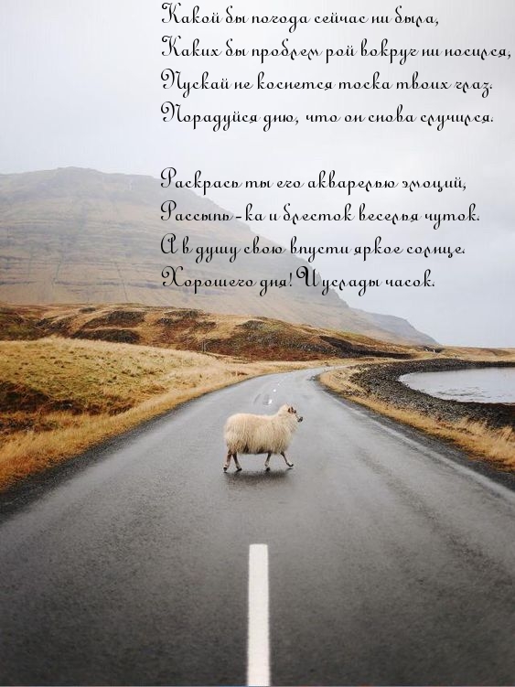 Порадуйся дню, что он снова случился
