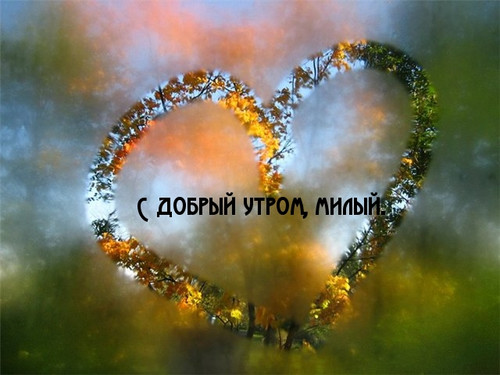 С добрым утром, милый!