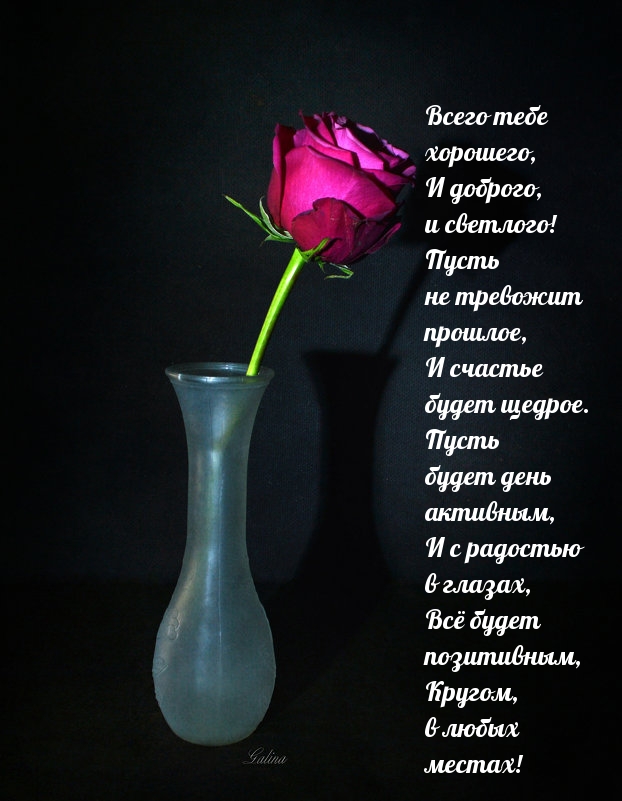 Всего тебе хорошего, и доброго, и светлого!