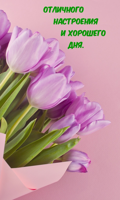 Отличного настроения и хорошего дня