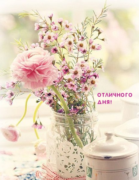 Отличного дня!