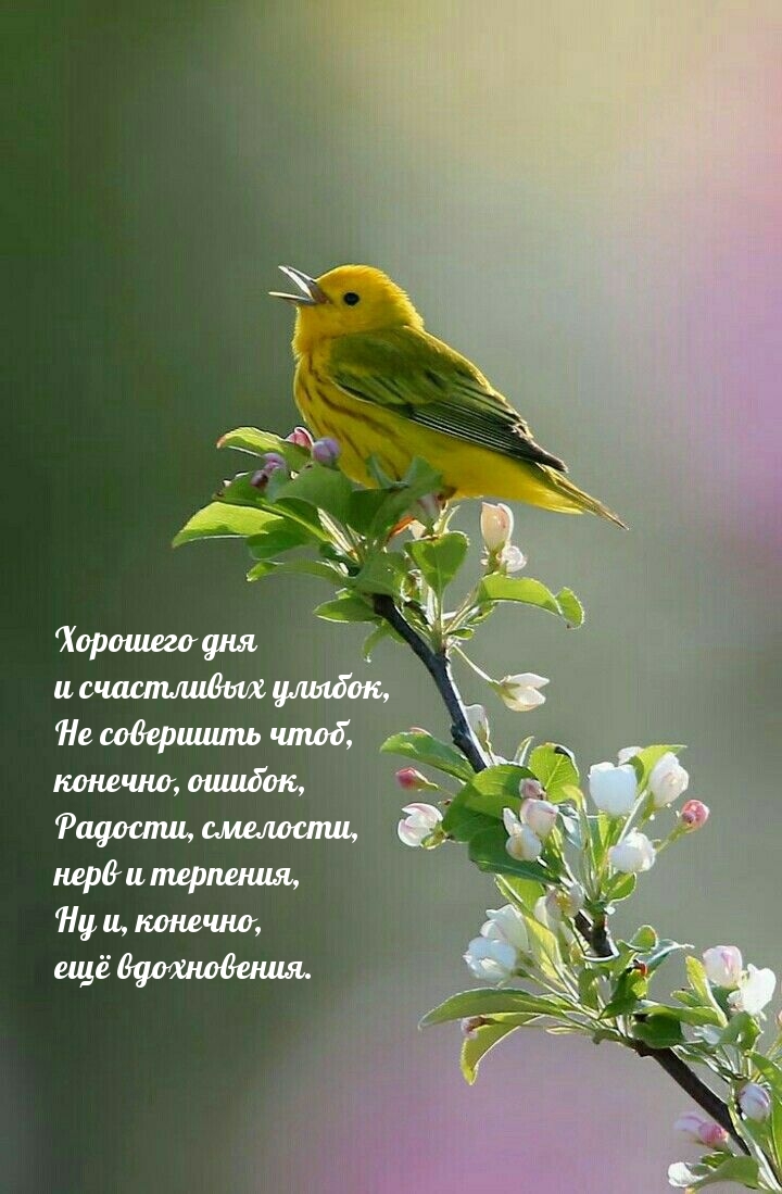 Хорошего дня и счастливых улыбок!