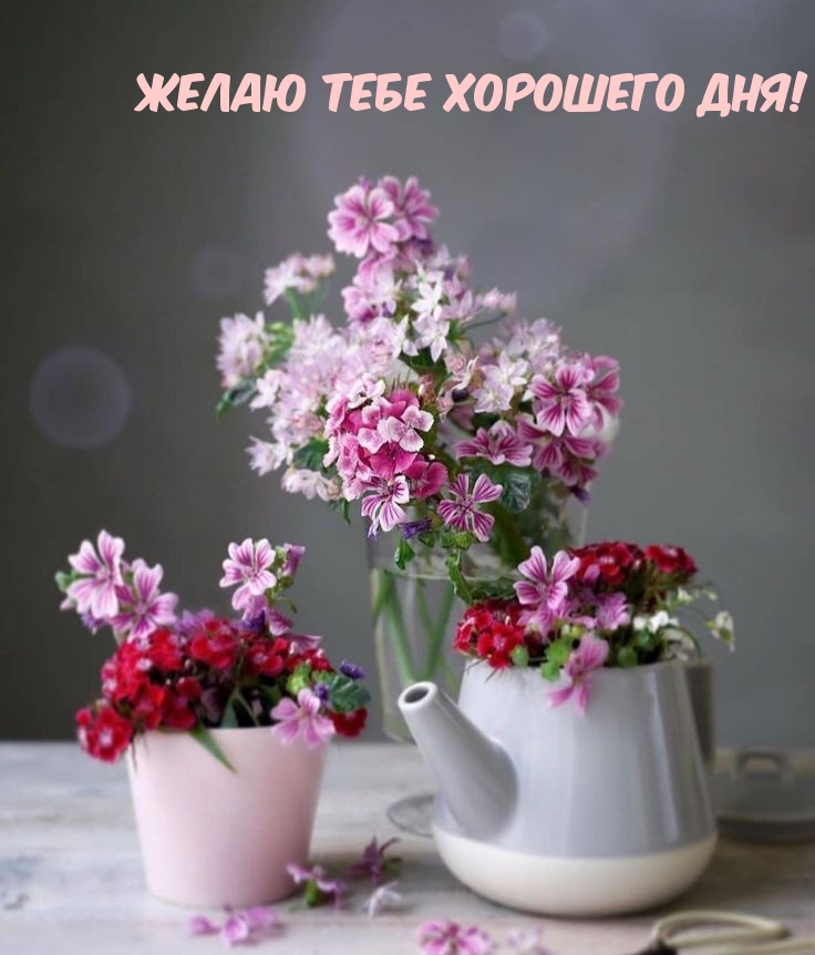 Желаю тебе хорошего дня!