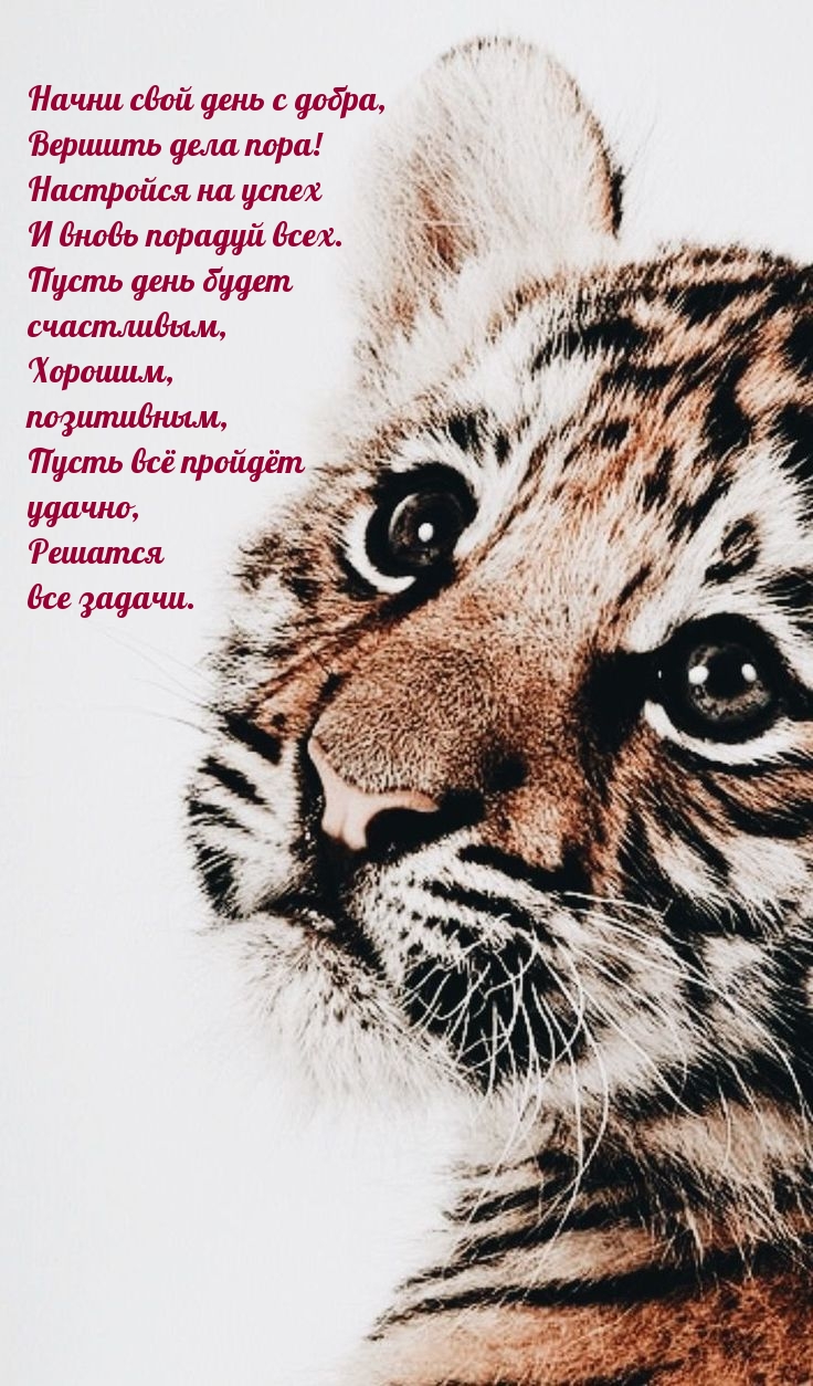 Начни свой день с добра