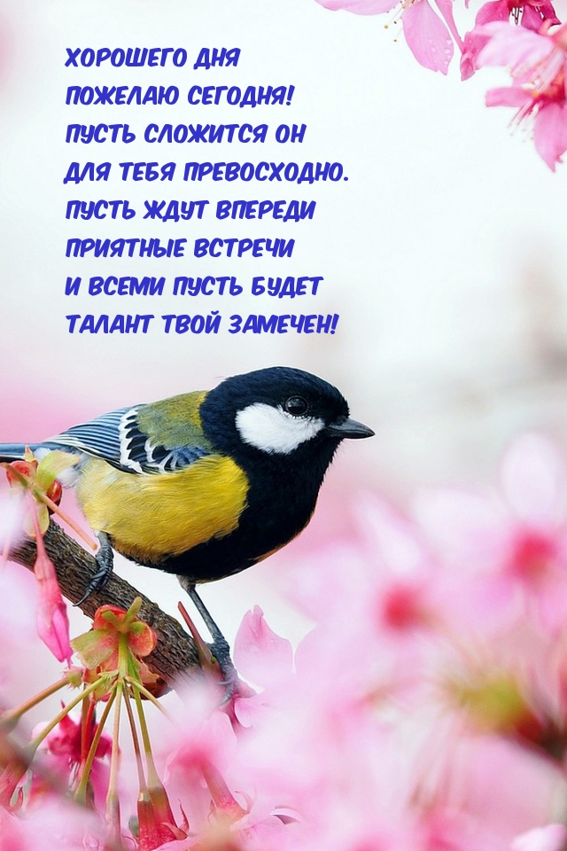 Хорошего дня пожелаю сегодня!