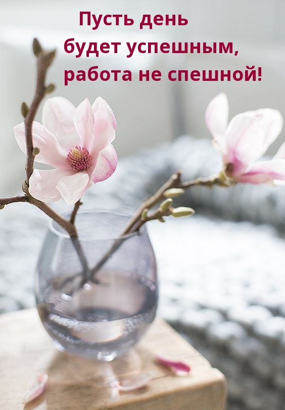 Пусть день будет успешным, работа не спешной!