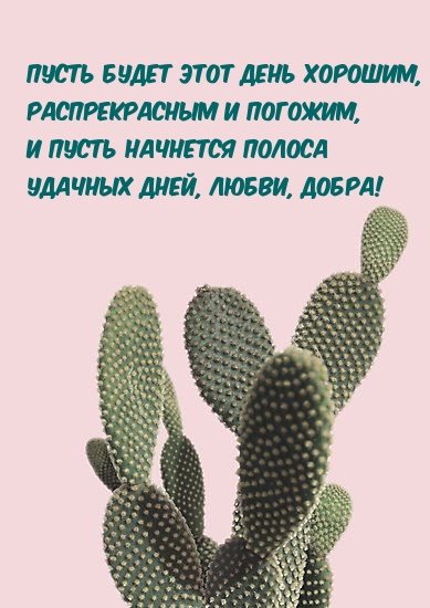 Пусть будет этот день хорошим, распрекрасным и погожим!