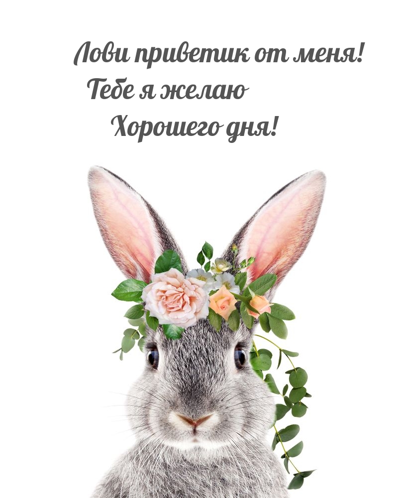 Тебе я желаю хорошего дня!