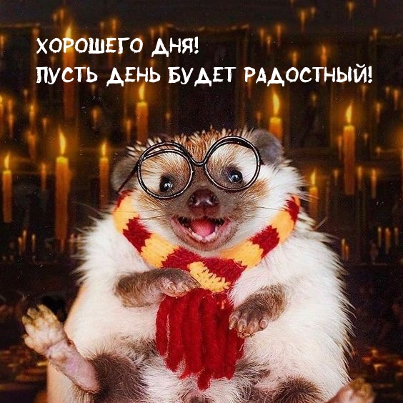 Хорошего дня! Пусть день будет радостный!