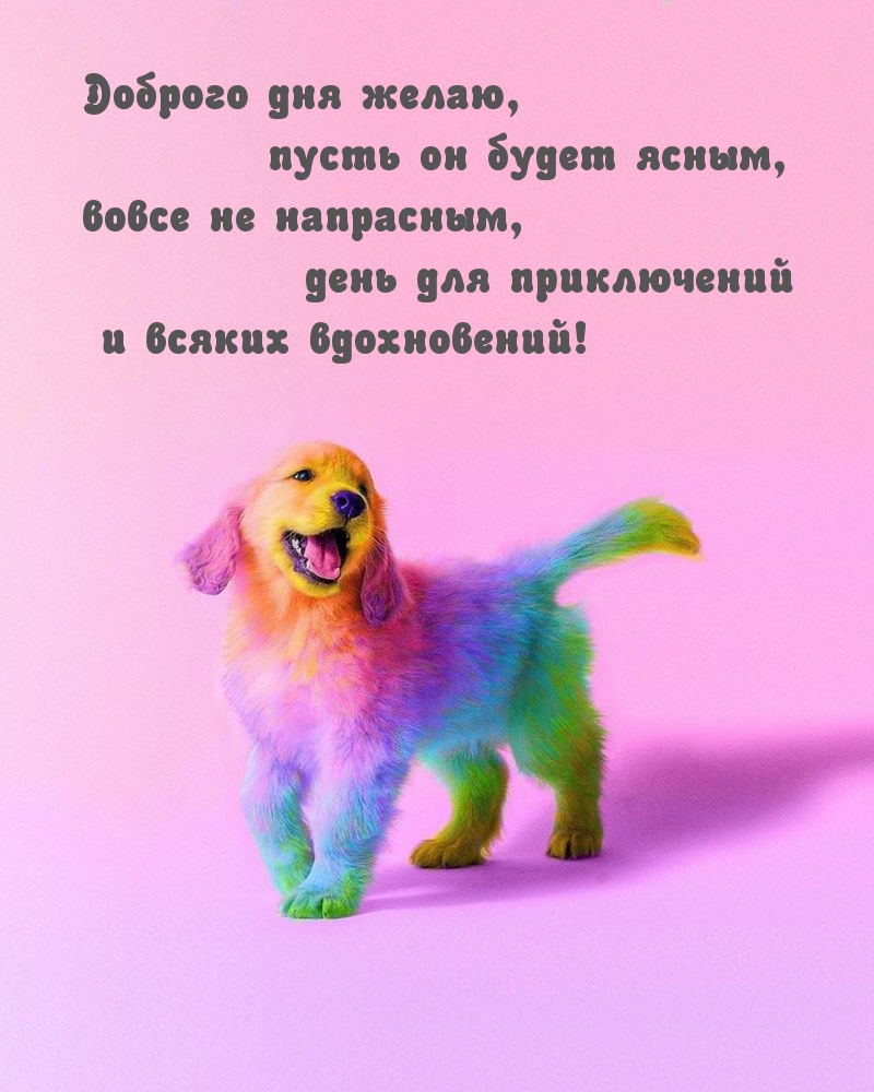 Доброго дня желаю, пусть он будет ясным
