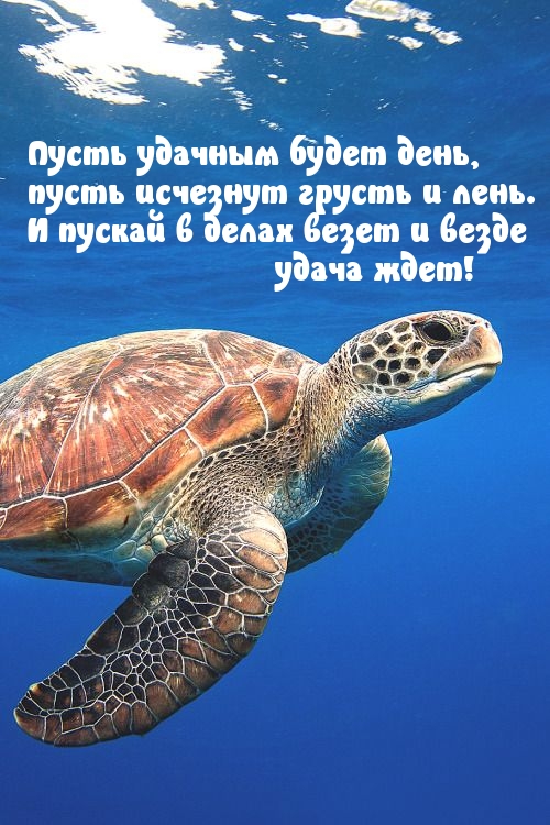 Пусть удачным будет день!