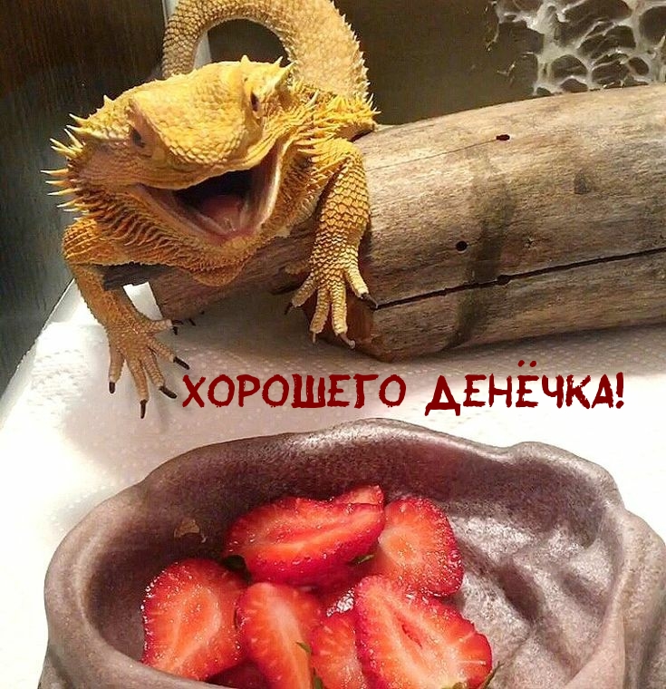 Хорошего денëчка!
