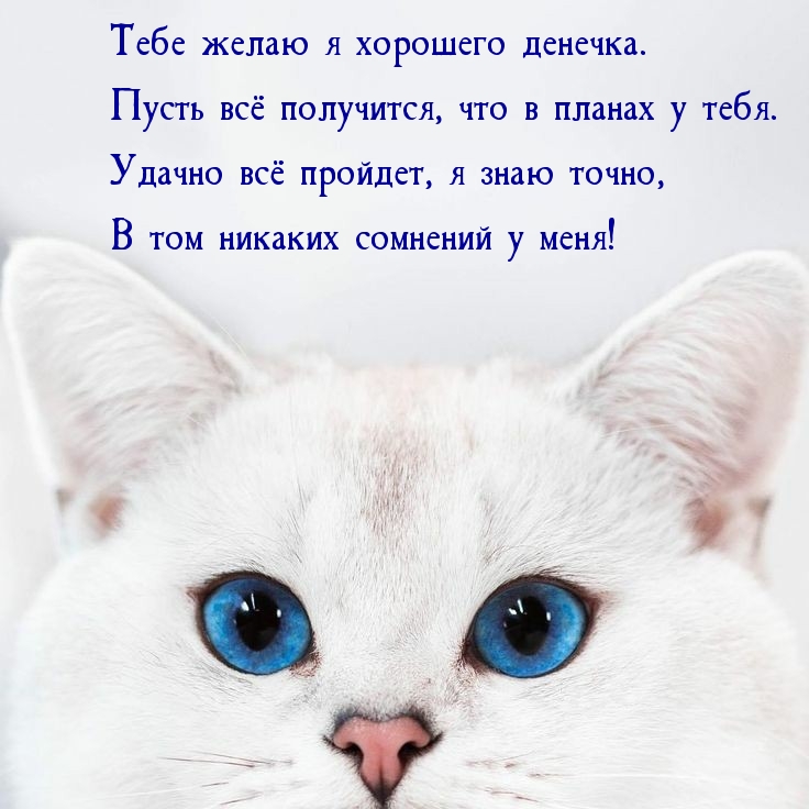 Пусть всё получится, что в планах у тебя!