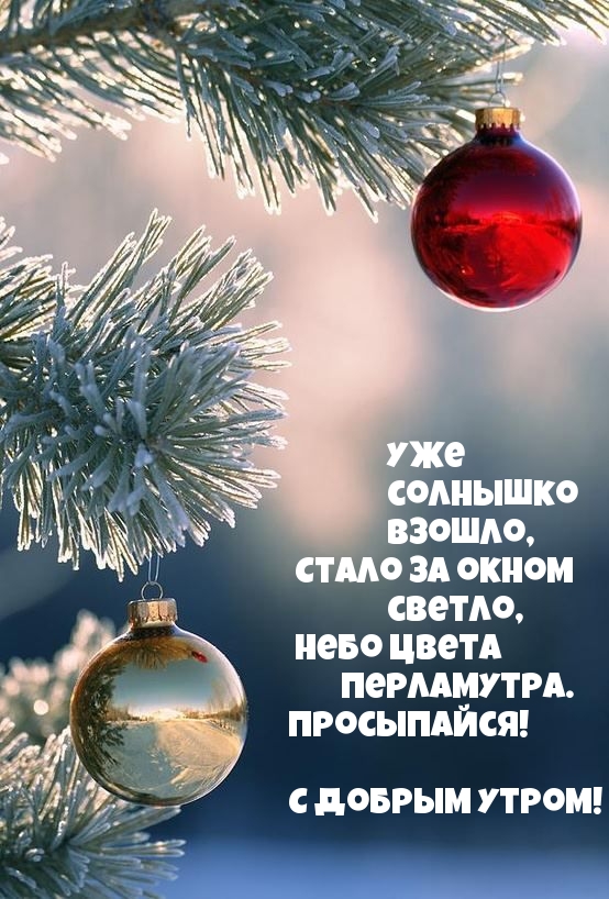 Уже солнышко взошло! Просыпайся!