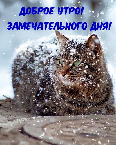 Доброе утро! Замечательного дня!