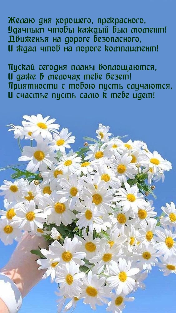 Желаю дня хорошего, прекрасного!