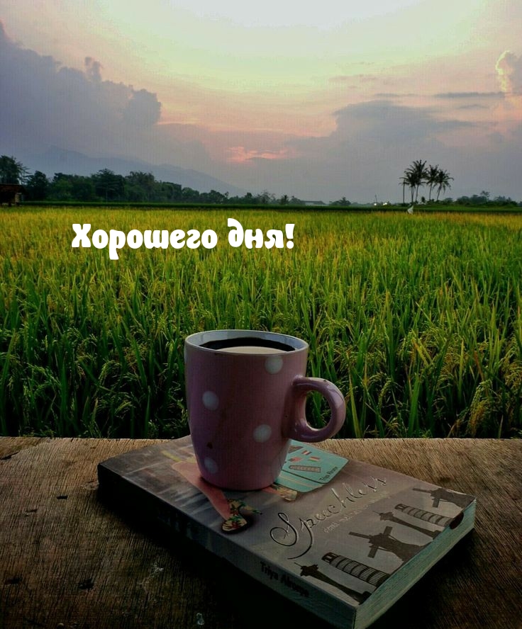 Хорошего дня!