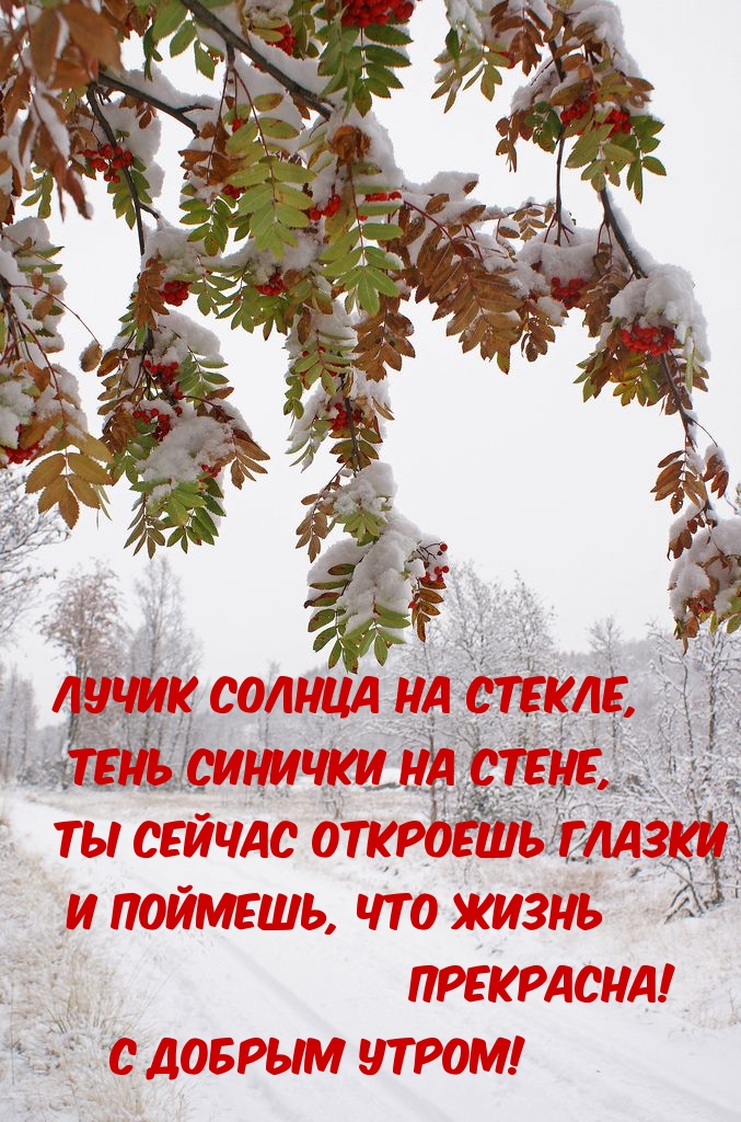 Жизнь прекрасна! С добрым утром!