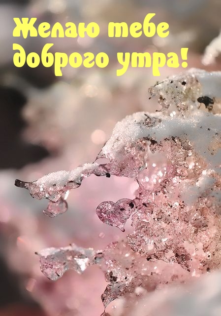 Желаю тебе доброго утра!