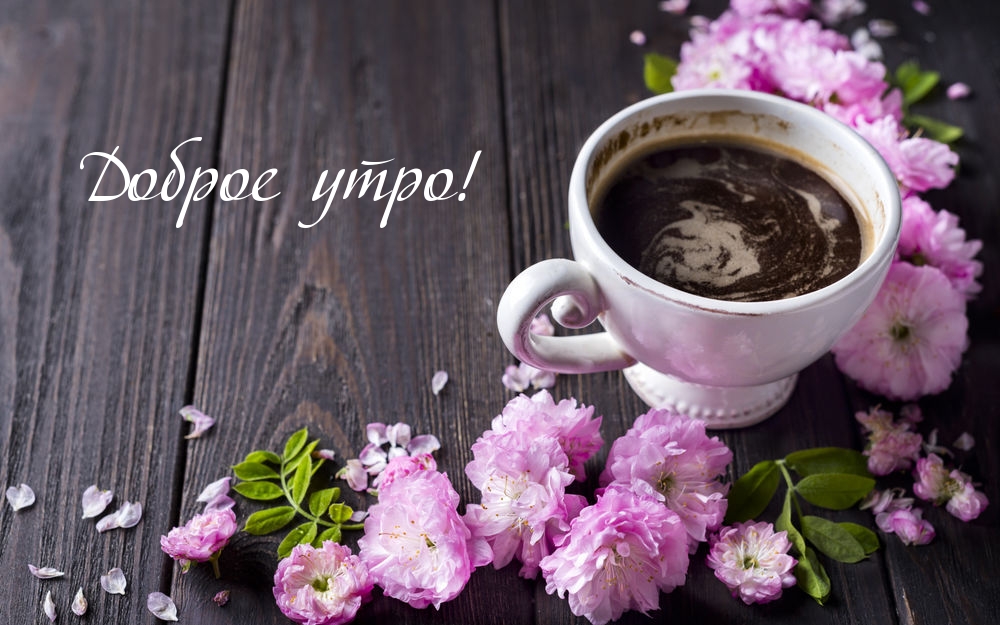 Доброе утро!