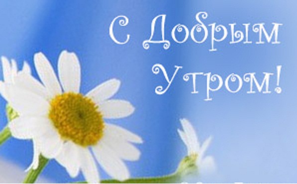 С Добрым утром! С ромашками