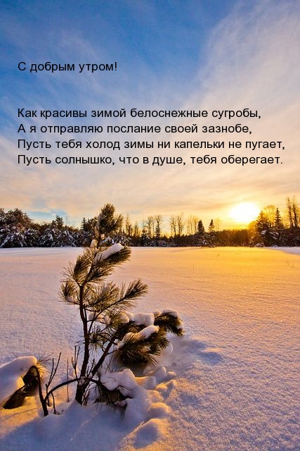 С добрым утром! Как красивы зимой белоснежные сугробы